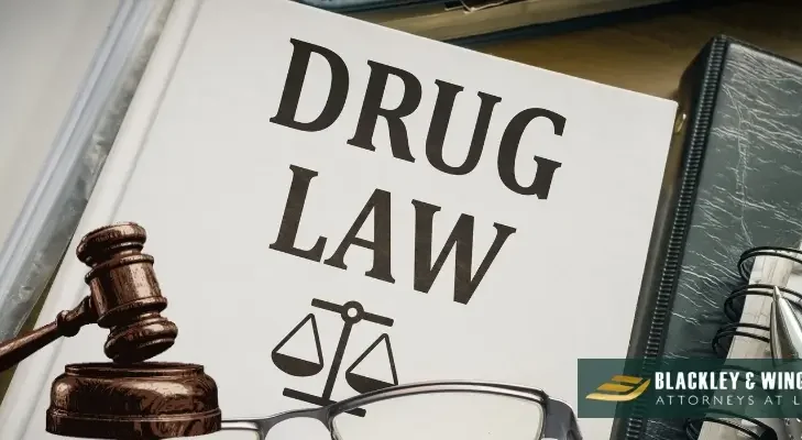 What Happens if You Refuse a Drug Test After a K-9 Alert in Utah?