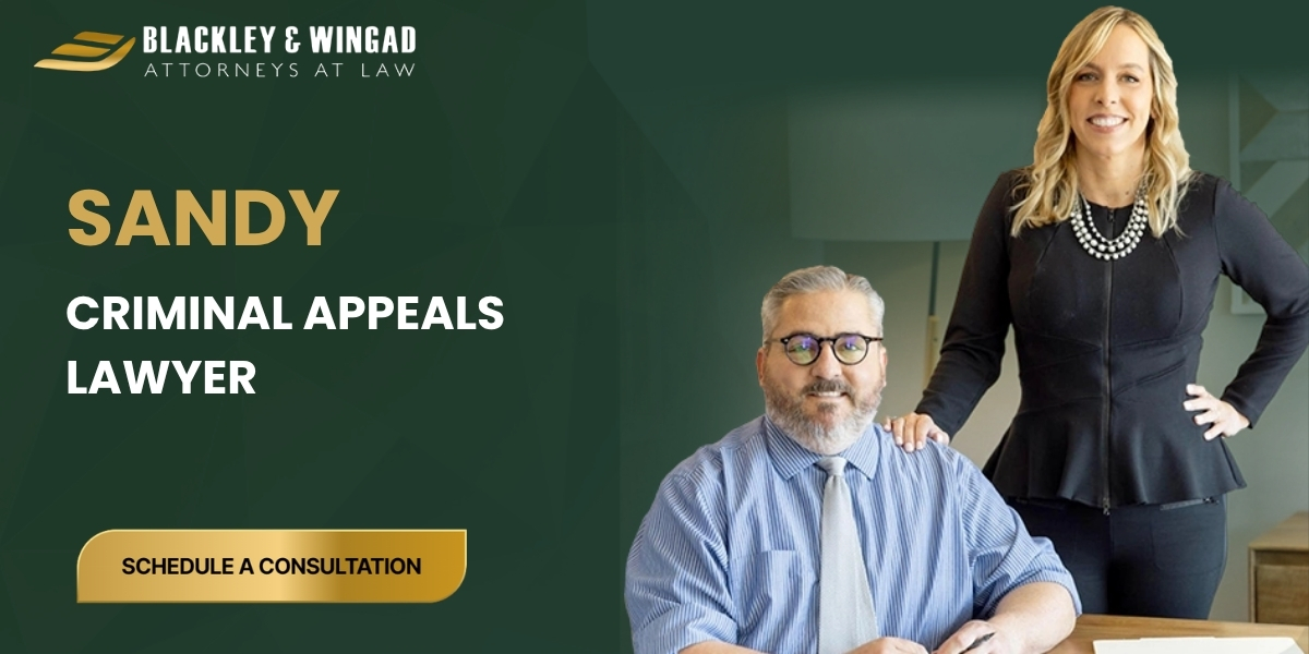 Sandy Criminal Appeals Lawyer-image
